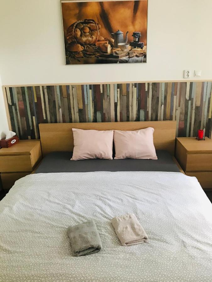 ブルノ Apartman Stursovka Bed & Breakfast エクステリア 写真