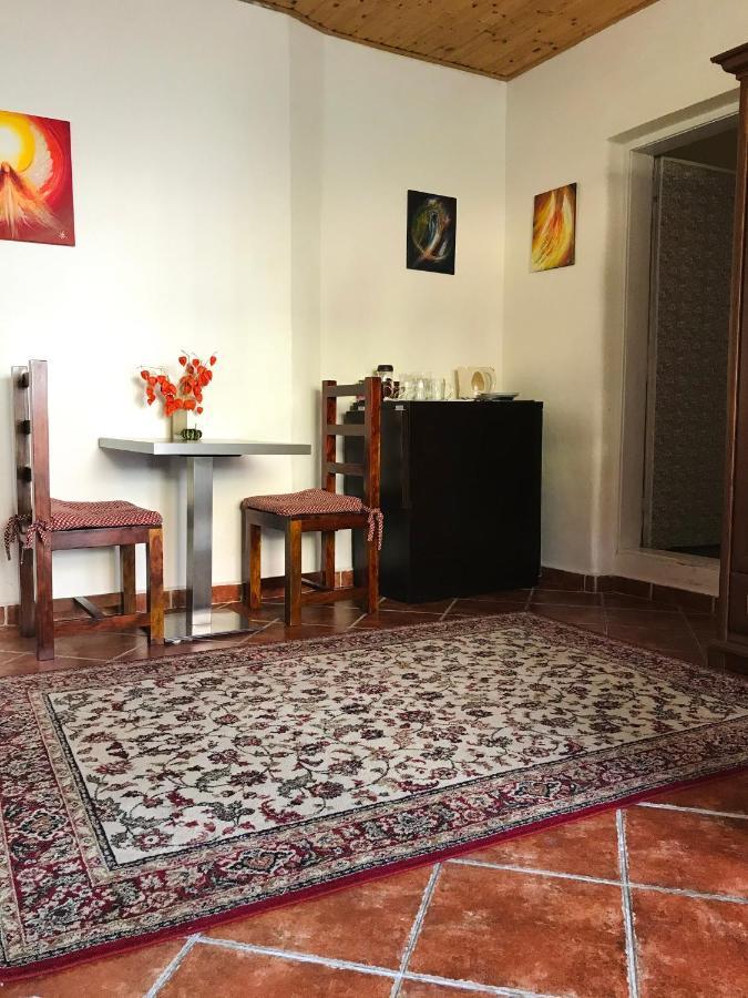 Apartman Stursovka ブルノ エクステリア 写真